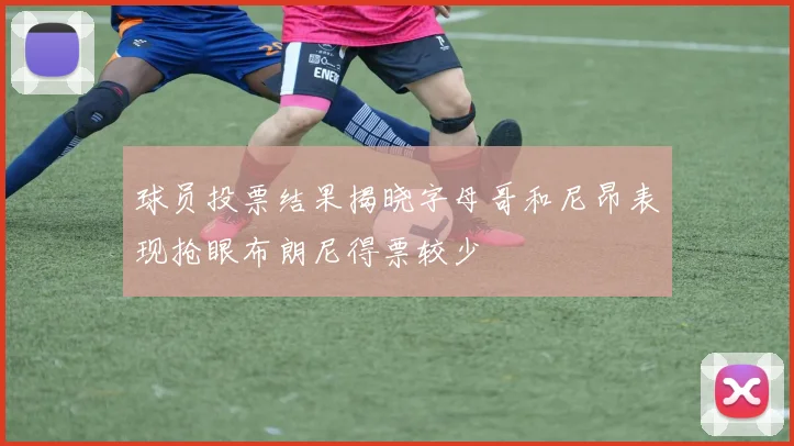 球员投票结果揭晓字母哥和尼昂表现抢眼布朗尼得票较少