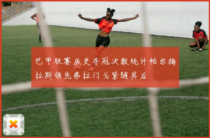 巴甲联赛历史夺冠次数统计帕尔梅拉斯领先弗拉门戈紧随其后