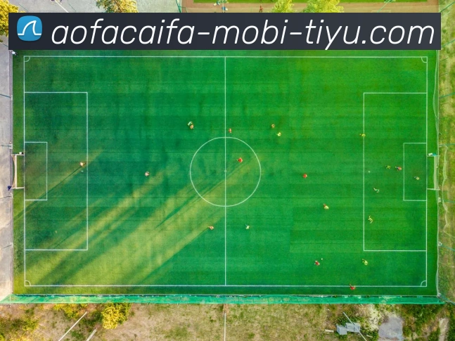 大发彩票发展历程