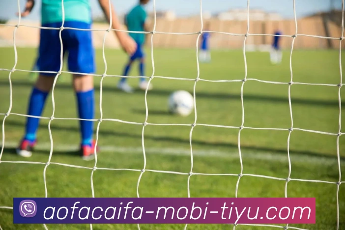 波尔图主席博阿斯批评葡体球员假摔与裁判不公行为引发热议